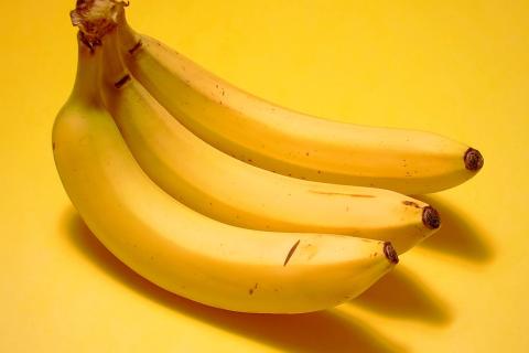 Спелые бананы повышают уровень серотонина у питомцев — Patas da Casa