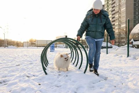 Владимир Голубев назвал поездки с собакой в мегаполис на праздники стрессом
