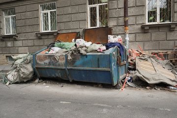 Беглов проигнорировал проблему крыс и неубранного мусора при оценке экологии Петербурга