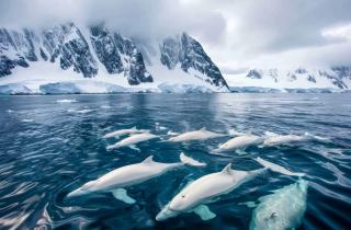 Донные воды Антарктиды изменили климат Земли 12 тысяч лет назад — Science Daily