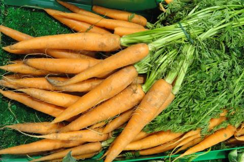 Вторую подкормку моркови вносят при утолщении корнеплодов — Сад и огород