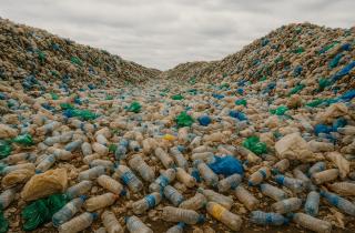 В Мордовии построят полигон и линию компостирования ТКО за 1,4 млрд — правительство