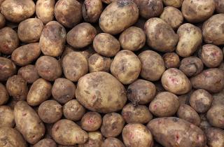 Не стоит хранить картошку и морковь вместе: советы по правильному зонированию хранения