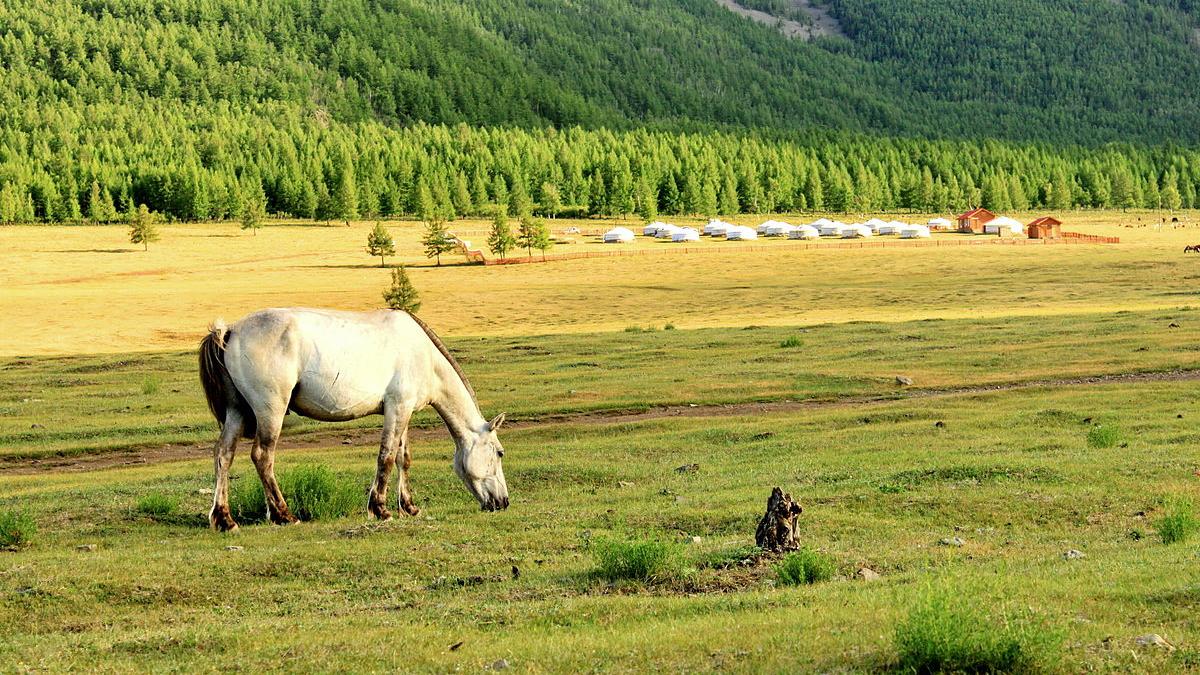 монголия пейзаж