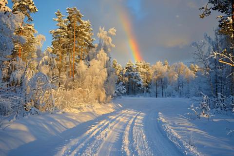 Ранний отход ко сну зимой снижает хроническую усталость — Фицджеральд психолог