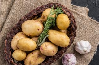 Просушка клубней снижает риск гниения при зимнем хранении — агрономы