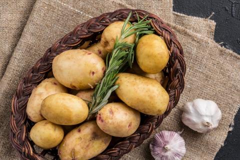 Просушка клубней снижает риск гниения при зимнем хранении — агрономы