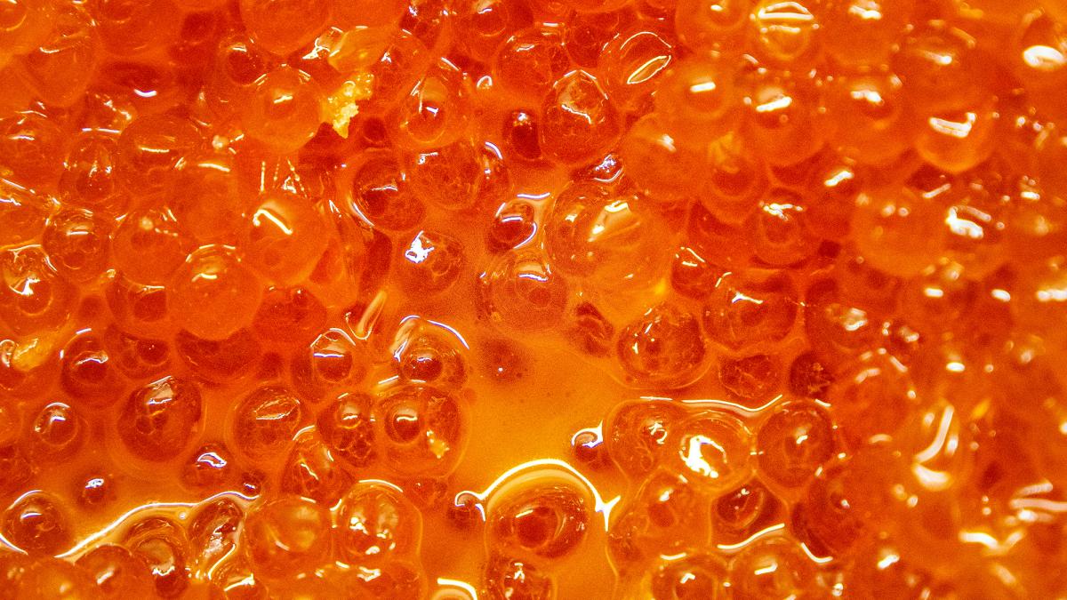 Salmon caviar