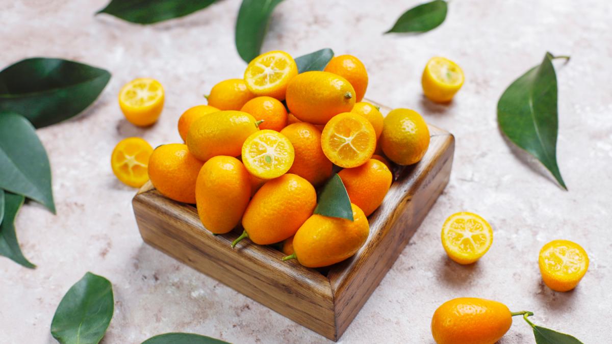 Кумкват Кумкват