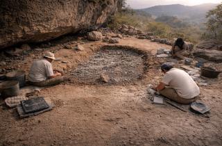 История, которую не сжёг огонь и не стёрли века: зубы раскрыли жизнь железного века