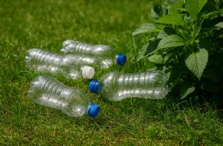 Учёные Университета Инсубрии разработали биотехнологию переработки пластиковых отходов в аминокислоты