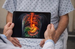 Учёные объединили ультразвук и фотоакустику в 3D-сканере — Nature BME