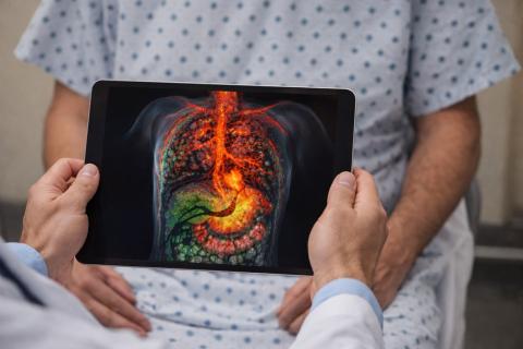 Учёные объединили ультразвук и фотоакустику в 3D-сканере — Nature BME