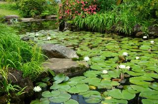 Пруд с фонтаном своими руками помогает создать оазис покоя и гармонии на даче