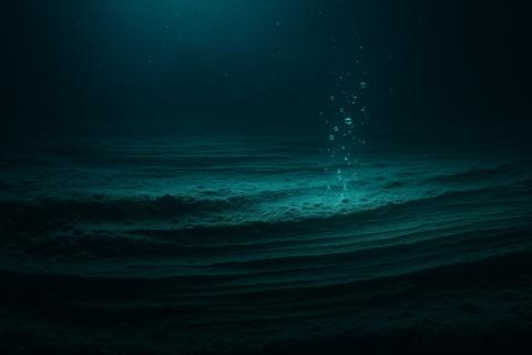 Учёные WHOI и Университета Консепсьон обнаружили новый вид ракообразных на глубине 8000 метров в Атакамском желобе