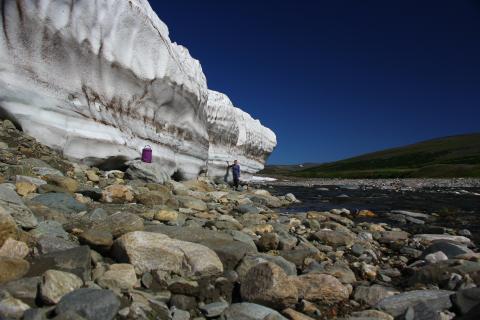 Органика в древних слоях мерзлоты легко разлагается и выделяет CO2 и метан