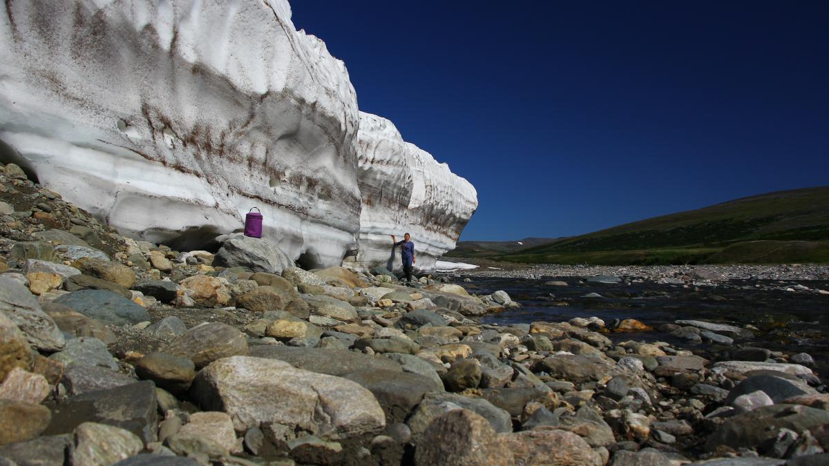 Вечная мерзлота летом (Сядотаяха)