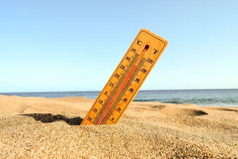 Примгидромет: 24 июля в Приморье ожидается ясная и жаркая погода до +36°C