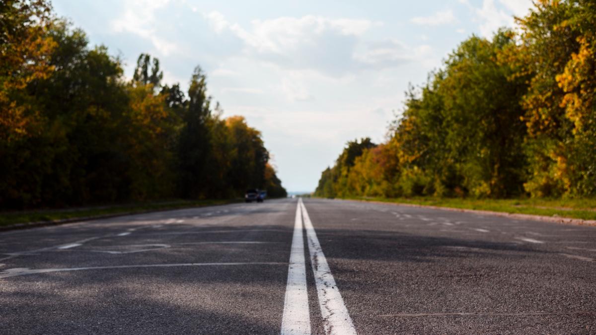 Дорога в окружении природы