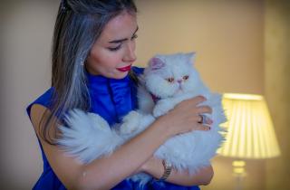 Пушистый лекарь рядом: как общение с кошкой помогает справиться с хроническим стрессом и тревогой