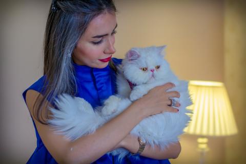 Пушистый лекарь рядом: как общение с кошкой помогает справиться с хроническим стрессом и тревогой