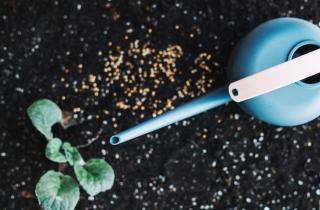 Кальциевые подкормки эффективны только в одиночном применении — агрохимики