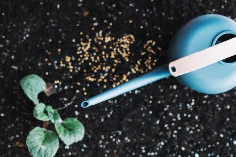 Кальциевые подкормки эффективны только в одиночном применении — агрохимики