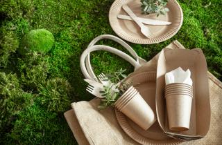 Учёные создали биоразлагаемый пластик на основе молочных белков — Polymers