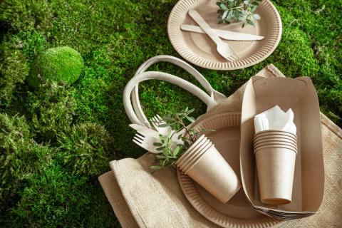 Учёные создали биоразлагаемый пластик на основе молочных белков — Polymers