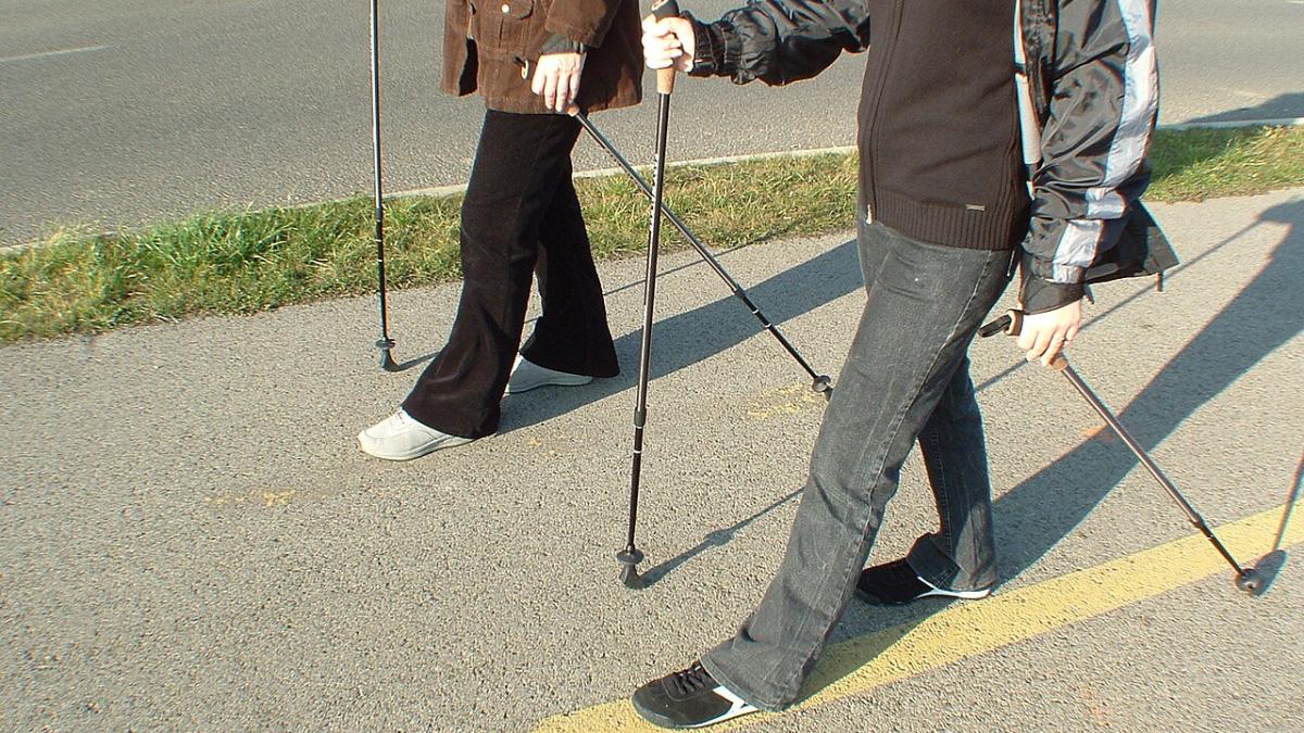 Скандинавская ходьба