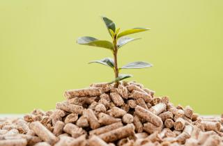 Использование натуральной щепы сохраняет структуру почвы зимой