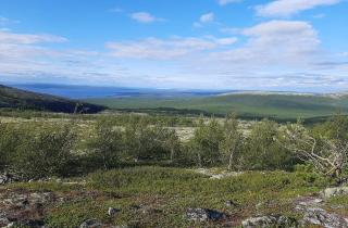 Кольский полуостров создаёт стабильные условия для сияния, сообщают гиды
