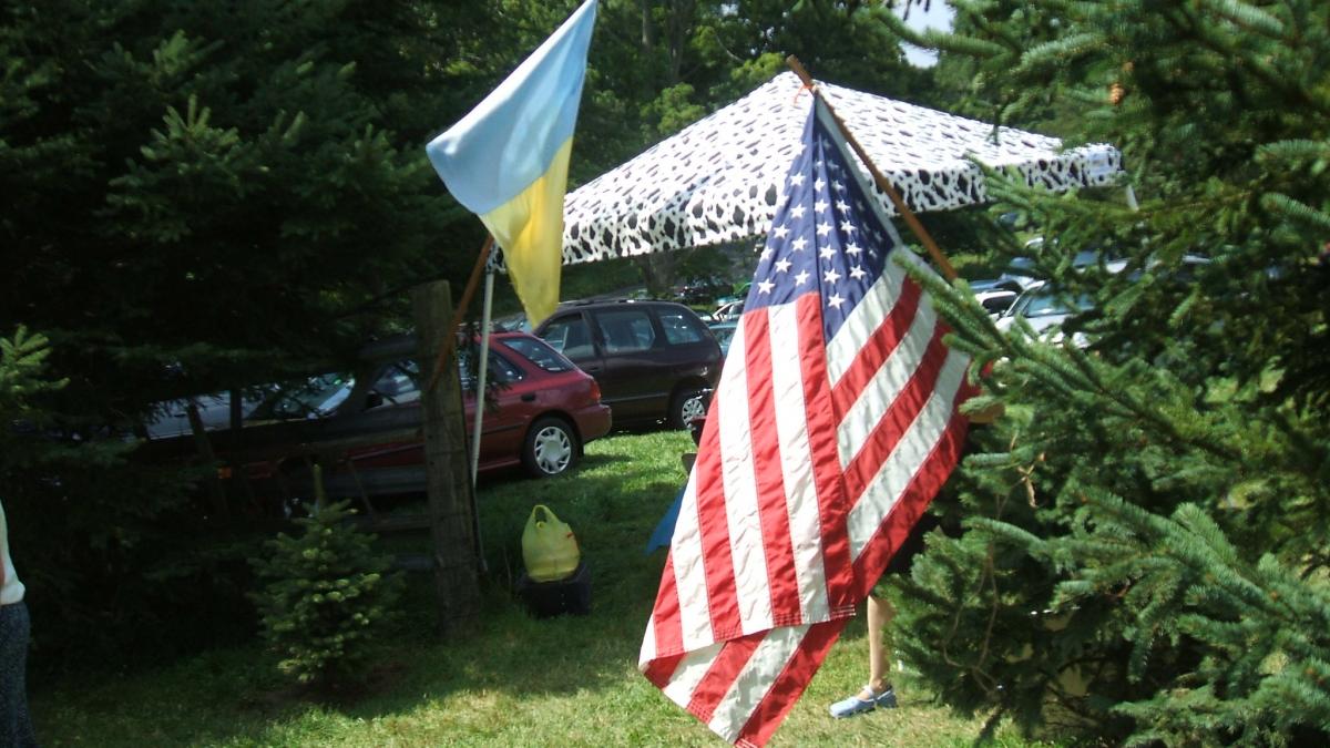 Флаг Украины и США