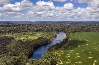 Ртуть из незаконной золотодобычи отравляет реки Амазонии и детей мундуруку — Пауло Баста