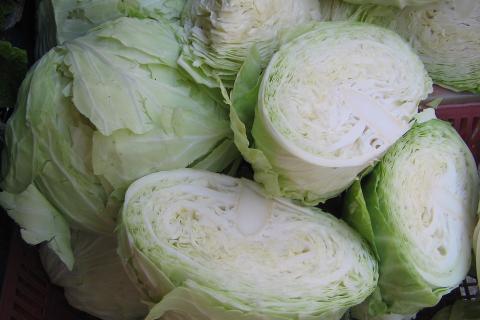 Как хранить капусту без погреба: балкон, холодильник и ящик с песком – лучшие варианты