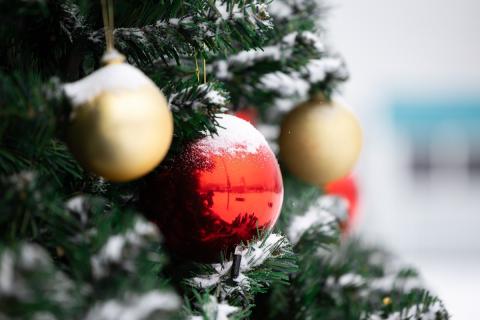 Новогодняя программа охватила курорты Кубани — портал администрации края