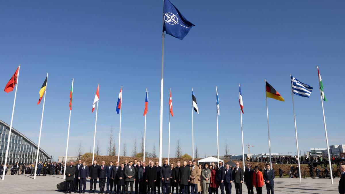 Флаги NATO