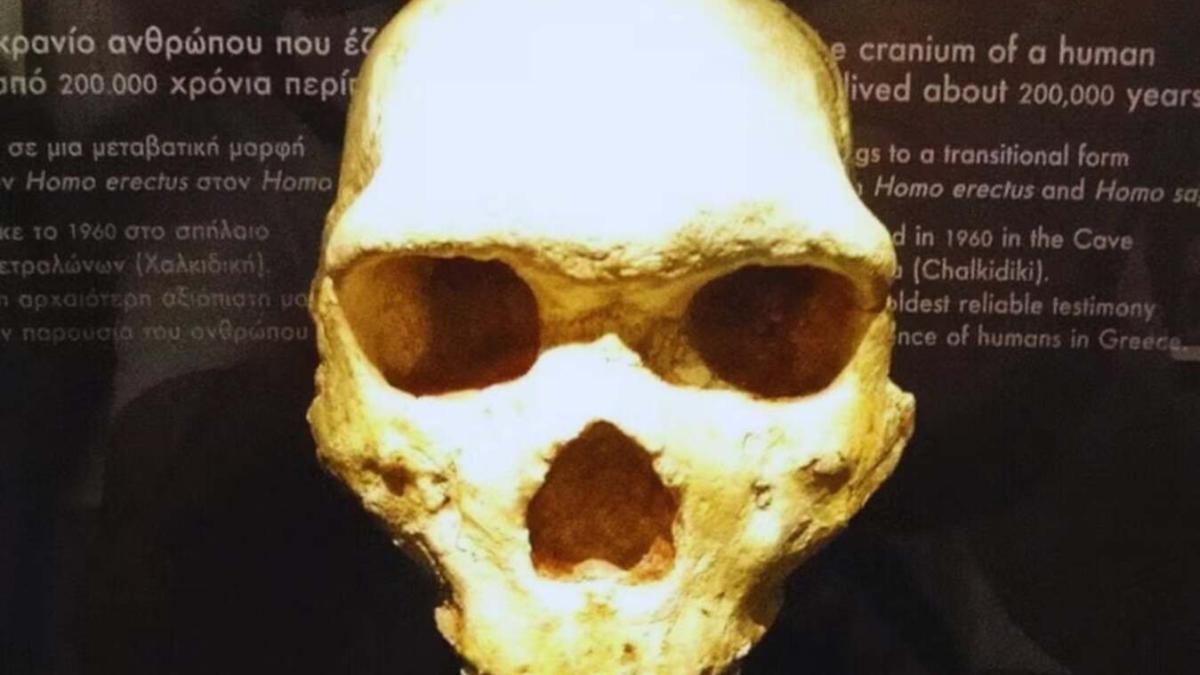 Найденный в пещере Петралона на севере Греции череп Петралоны