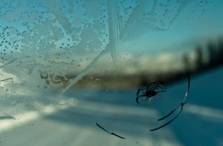 Трещина на лобовом стекле может привести к штрафу — автоюристы