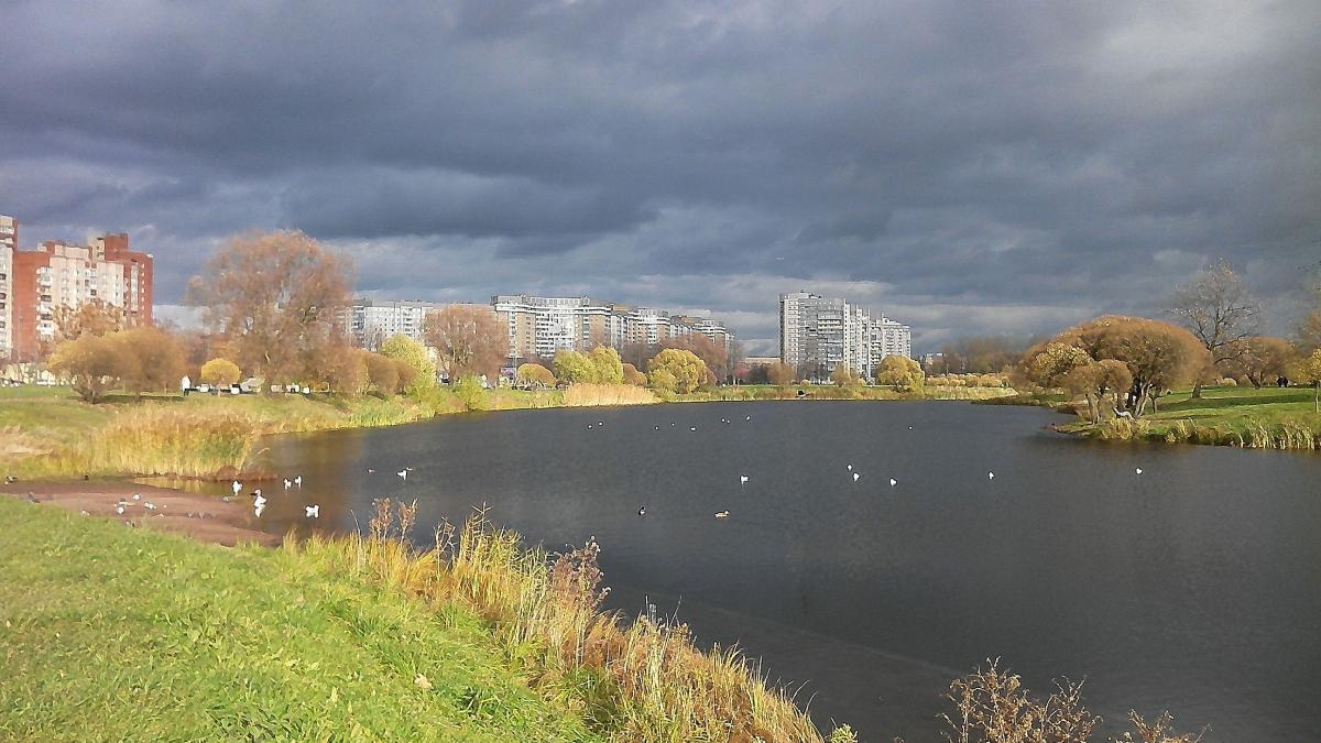 Парковый водоём