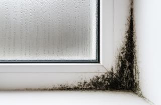 Как предотвратить образование влаги на окнах: советы по вентиляции и утеплению