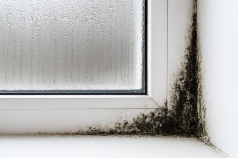 Как предотвратить образование влаги на окнах: советы по вентиляции и утеплению