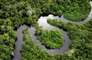 Геолог Андрес Русо подтвердил существование кипящей реки в Амазонии