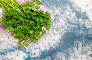 Эксперты по растениям советуют увлажнять семена кинзы пульверизатором