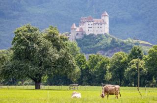 Не Швейцария и не Сингапур: неожиданная страна возглавила мировой рейтинг богатства