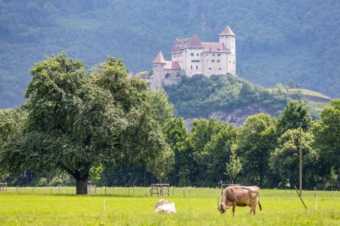 Не Швейцария и не Сингапур: неожиданная страна возглавила мировой рейтинг богатства