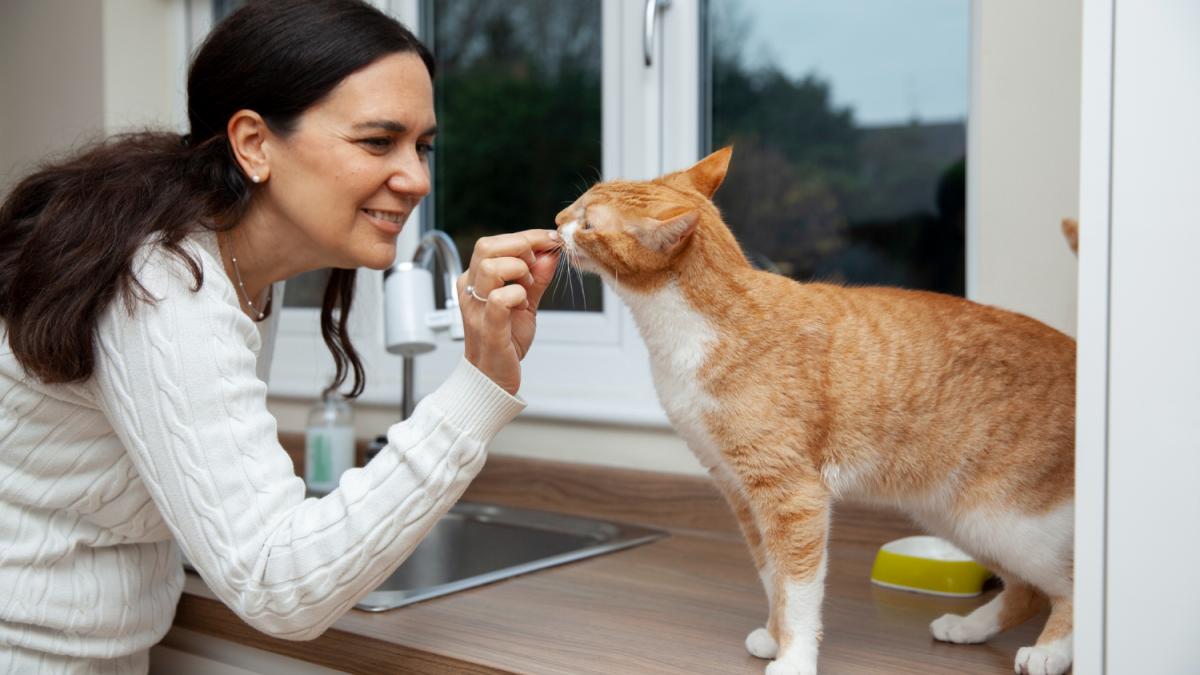 Женщина кормит животное