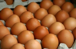 Роспотребнадзор: хранить яйца без холодильника можно не дольше трёх недель