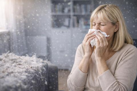 Пыль в квартире накапливается быстрее из-за лишних предметов — клинеры