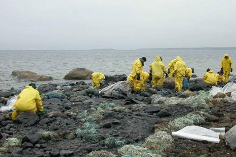 КТК: Нефтяного загрязнения на черноморском побережье от Новороссийска до Анапы не обнаружено
